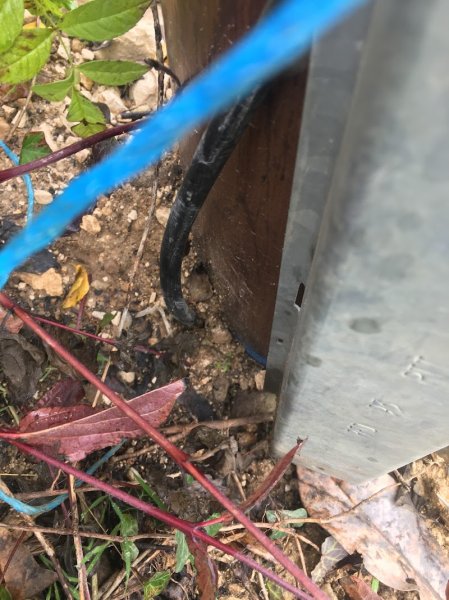 Ecurie des Peupliers