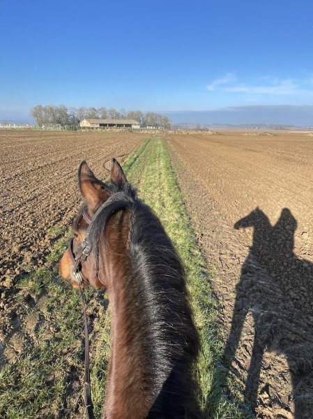 Ecurie Marion TRIER - photo 2