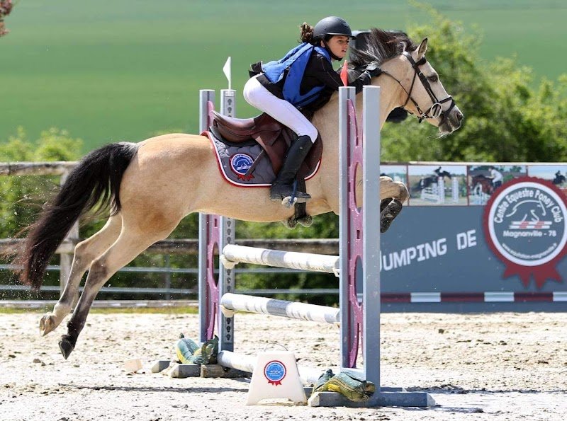 Ecuries de Magnanville - photo 2