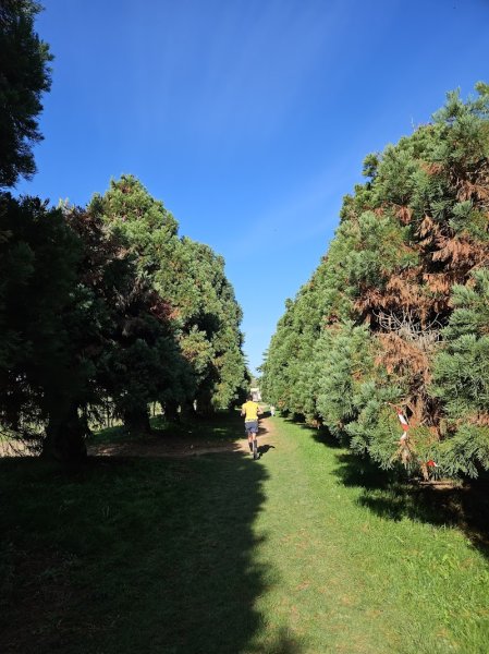 Catherine Lacroix Ecurie - photo 3