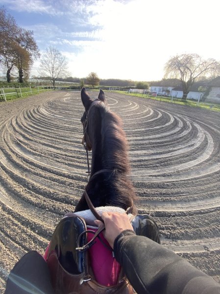 Ecurie Ukranian Blue