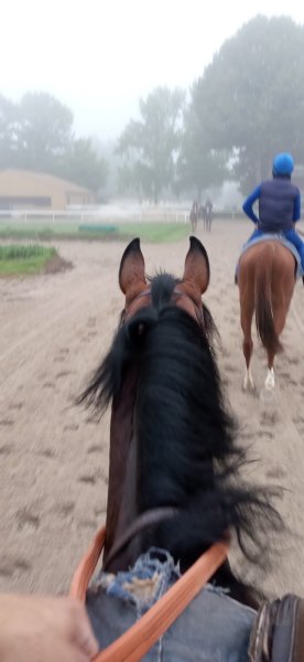 Ecurie Charles Gourdain - photo 1