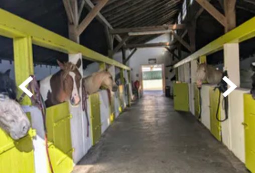 Poney Club de la Ferme Saint-Joseph