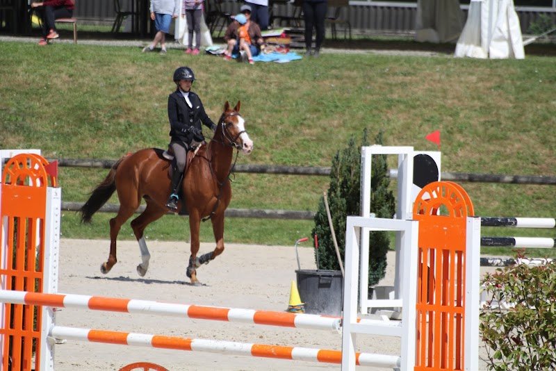 Club Hippique Niortais Association - photo 2