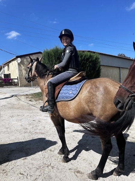 ÉCURIE NOVUM, écurie à Bordeaux dans le département de la Gironde (33)