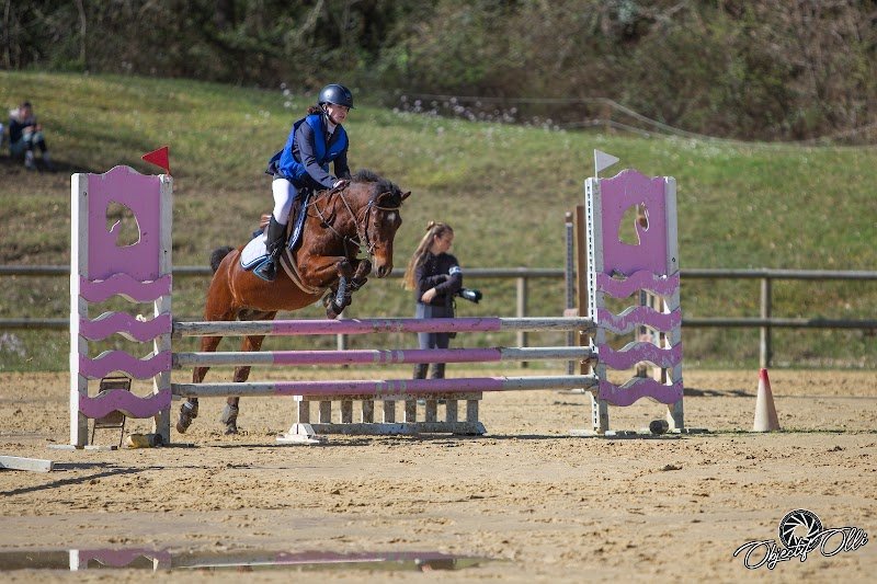 ÉCURIE NOVUM, écurie à Bordeaux dans le département de la Gironde (33) - photo 3