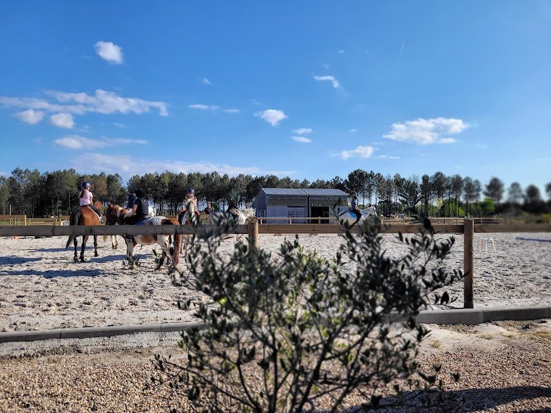 Haras de Piques - photo 1