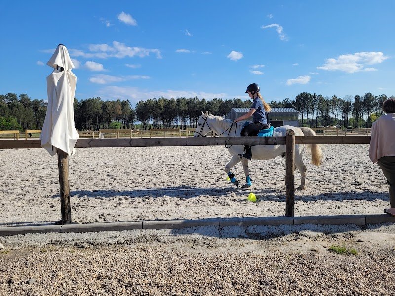 Haras de Piques - photo 2