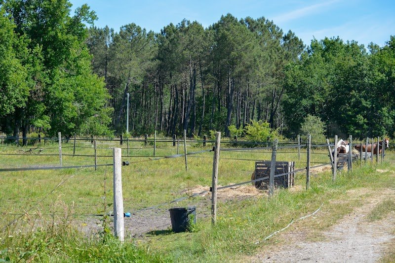 Ecurie de Caillavet - Benjamin GAPENNE - photo 3