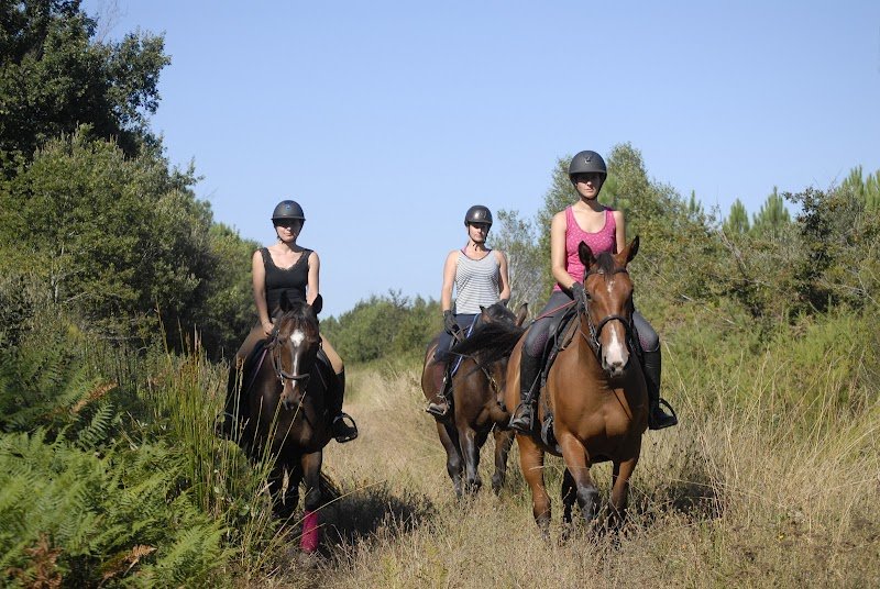 Écuries Alice Rueda - photo 2