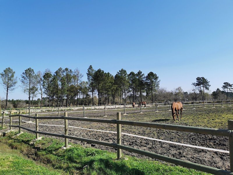 Le PONEY-CLUB : club équestre à Saint-Aubin-de-Médoc. - photo 2