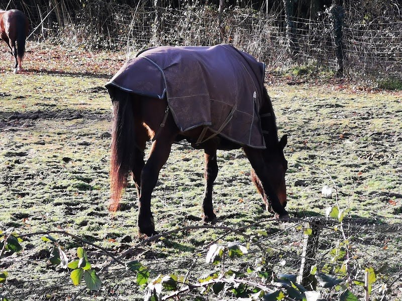Les Écuries du Mauriet