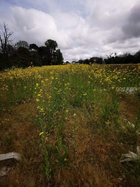 Les Écuries du Mauriet - photo 2