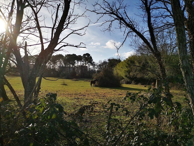 Les Écuries du Mauriet - photo 3