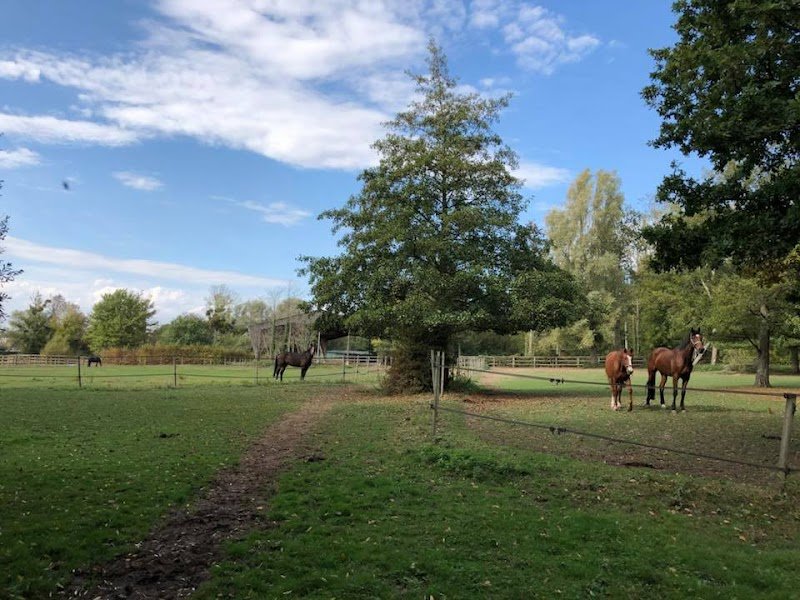 Haras des Flambertins - photo 1