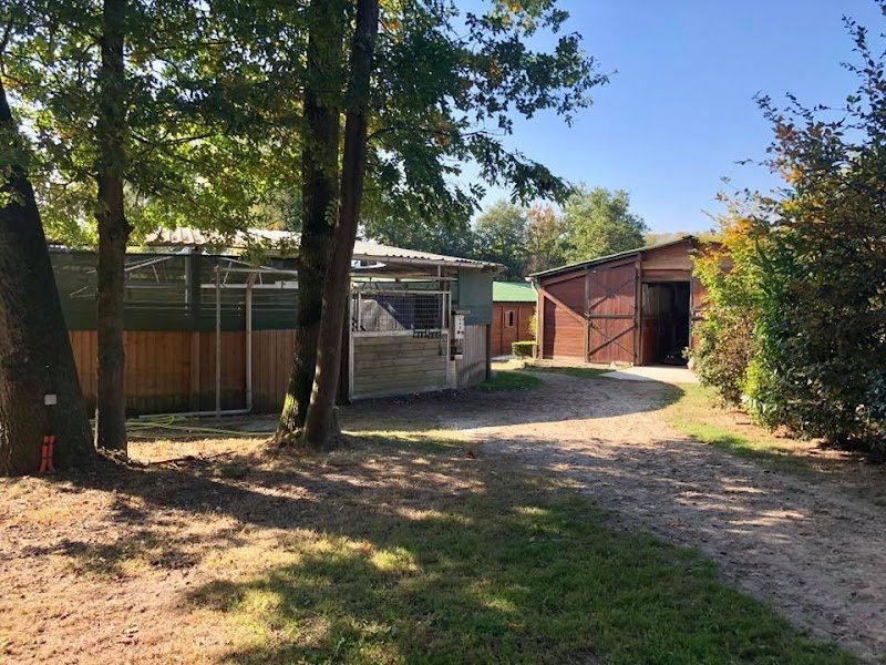 Haras des Flambertins - photo 2