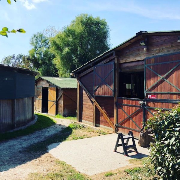 Haras des Flambertins - photo 3