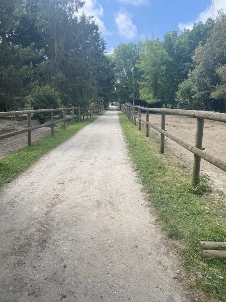 Haras de Boulémont - photo 1