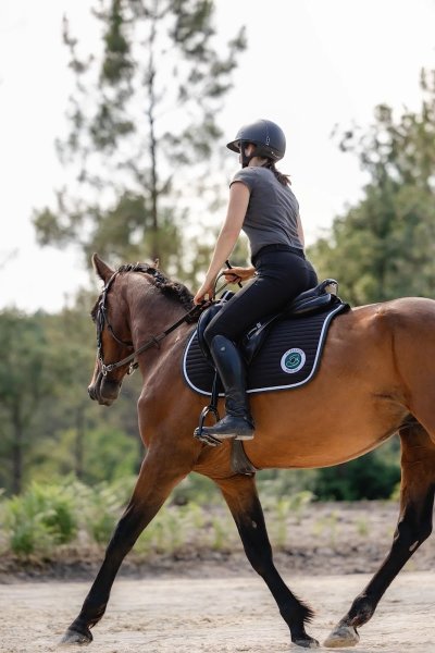 Les Écuries de Roxanne - photo 2