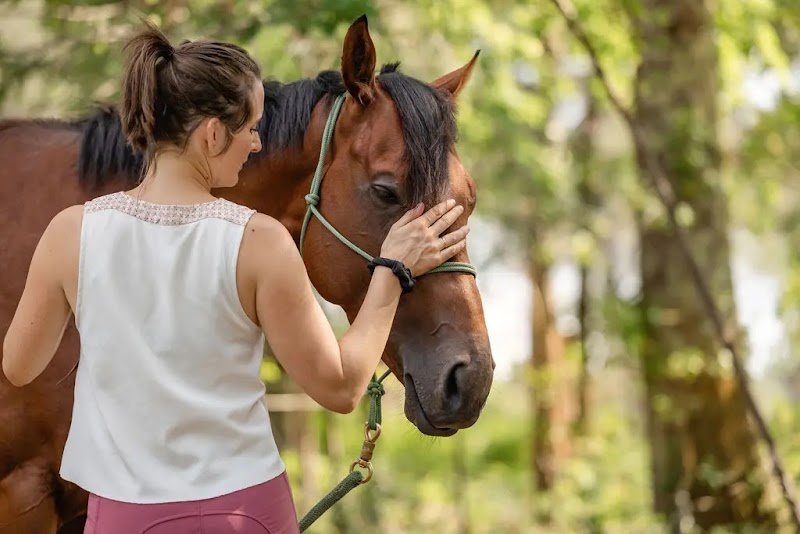 Les Écuries de Roxanne - photo 3