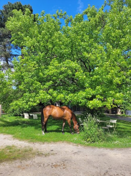 Ecurie Baptiste Caillet - photo 2