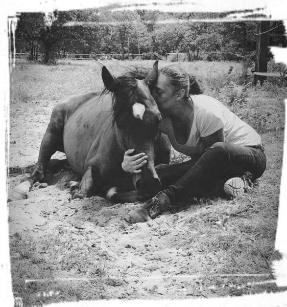 Écurie de la Vigne aux Bois - photo 3