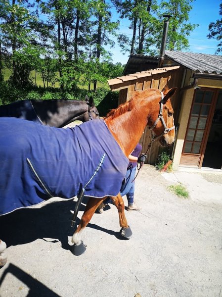 Ecuries De Leogean - photo 1