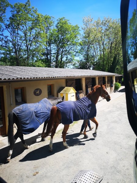 Ecuries De Leogean - photo 2