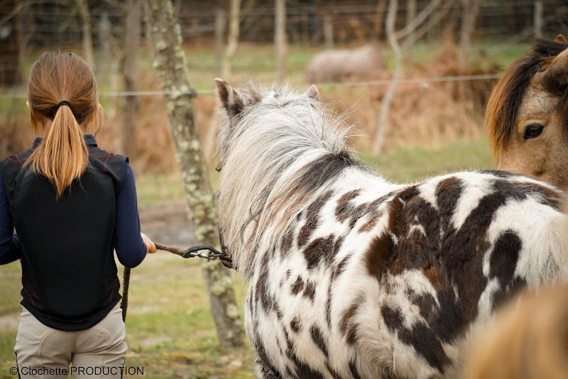 Les Ecuries de Landriole - photo 3