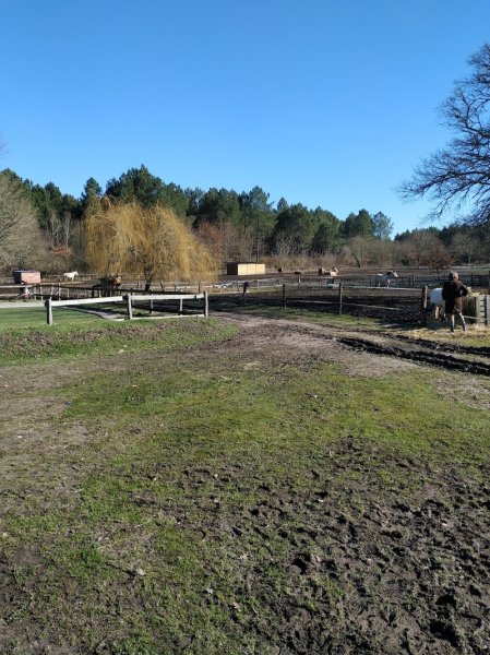 Centre Équestre Le Ranch des Lamberts - photo 1