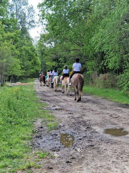 Centre Équestre Le Ranch des Lamberts - photo 2