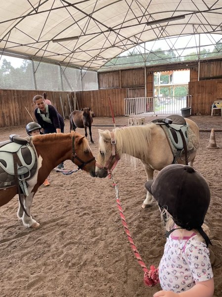 Centre Équestre Le Ranch des Lamberts - photo 3