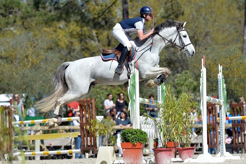 ecurie du deves - photo 2