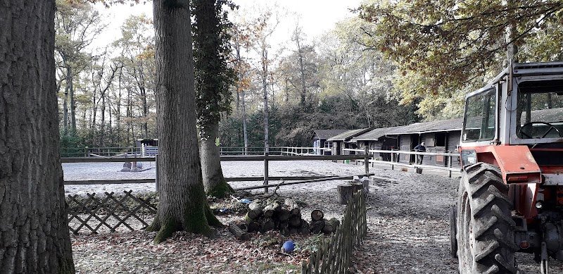 Ecuries des Eiders - photo 2