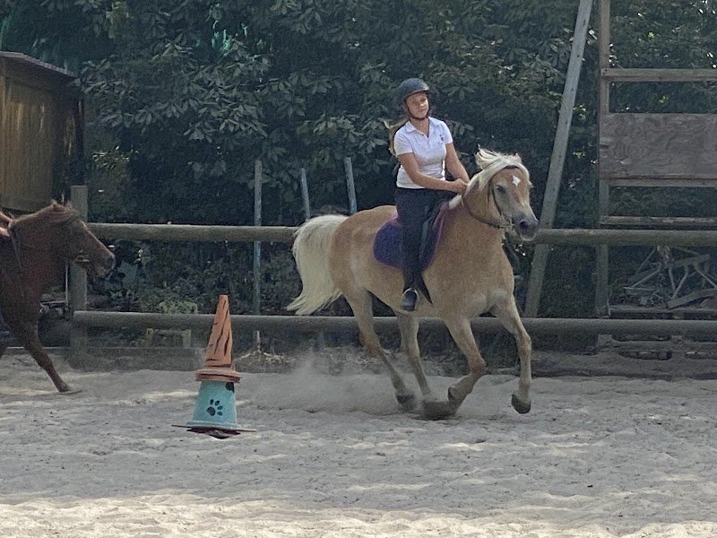 Ecuries des Eiders - photo 3