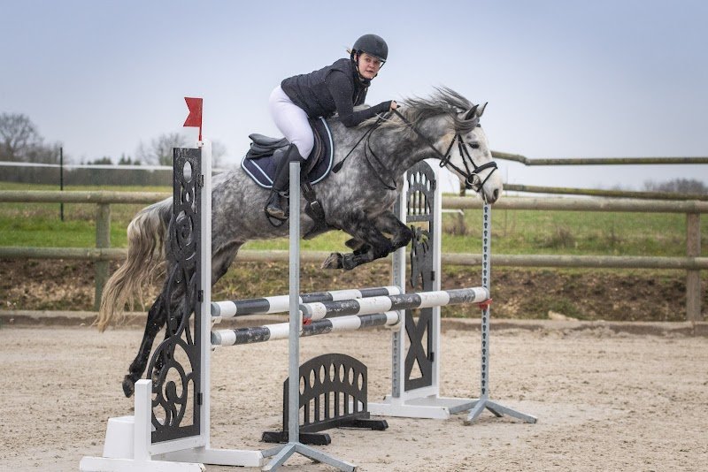 Haras de Pharos - photo 3