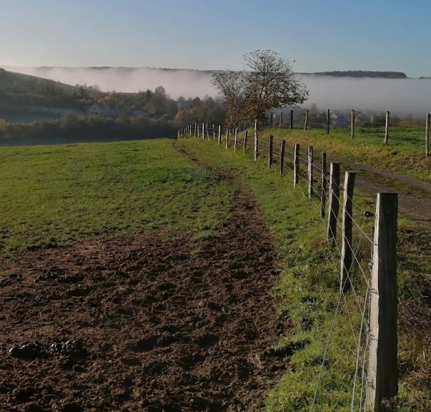 Ecurie du Moulin - photo 2