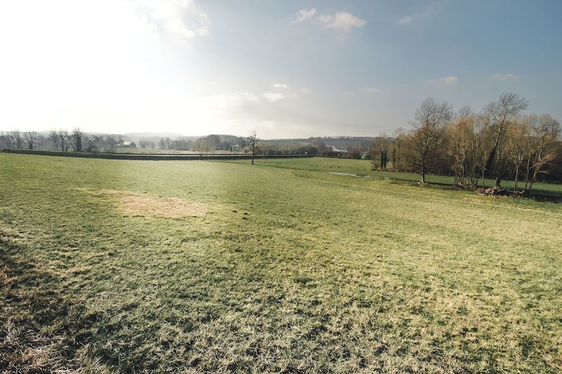 Pension pour Chevaux La Prairie des Rosières - photo 2