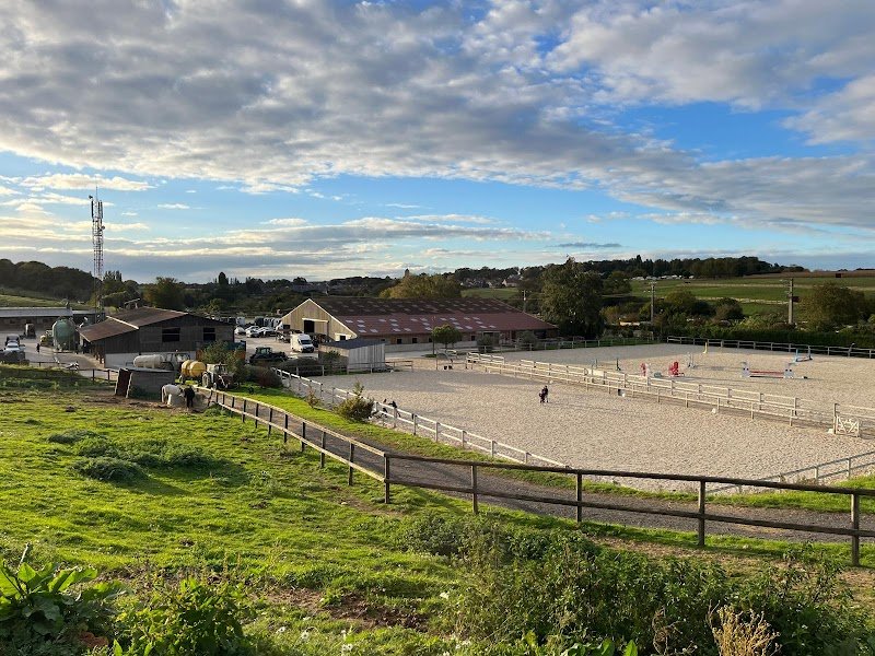 VITELLE EQUESTRE - photo 3