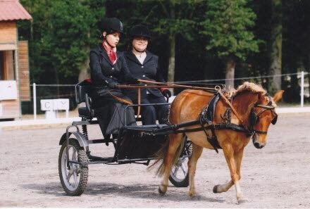 Écurie Vernay - photo 2