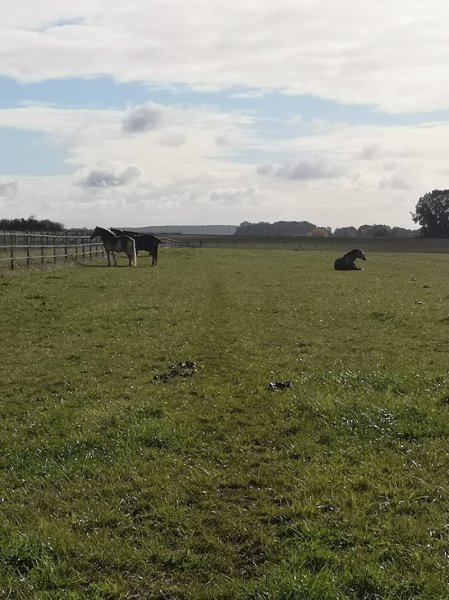 Ecuries du Domaine de Gadancourt - photo 1