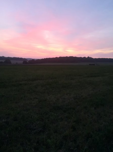 Ecuries du Domaine de Gadancourt - photo 3