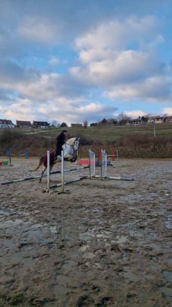 Ecurie des Nonnains - photo 2