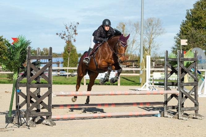 Les Ecuries du Chot - photo 2