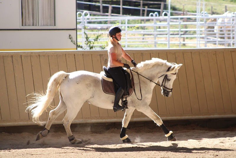 Les Ecuries du Chot - photo 3