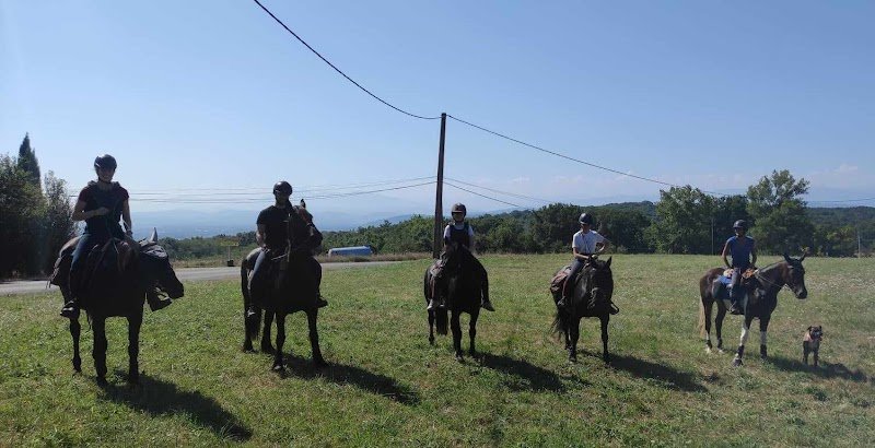 Ecuries du Freyche - photo 2