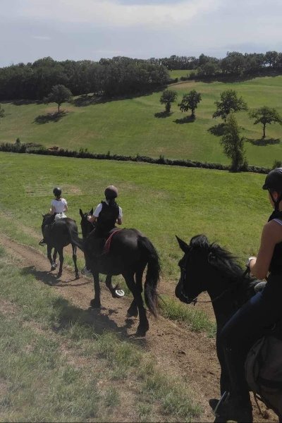 Ecuries du Freyche - photo 3