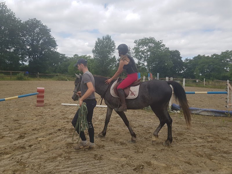 Ecurie de Bellecombe - photo 2