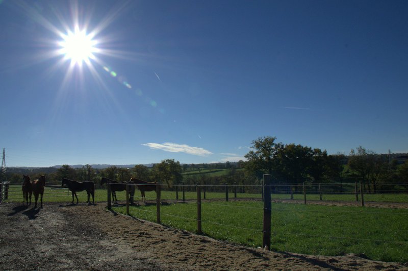 Ferme Equestre de Randeynes