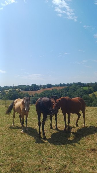 Ferme Equestre de Randeynes - photo 2